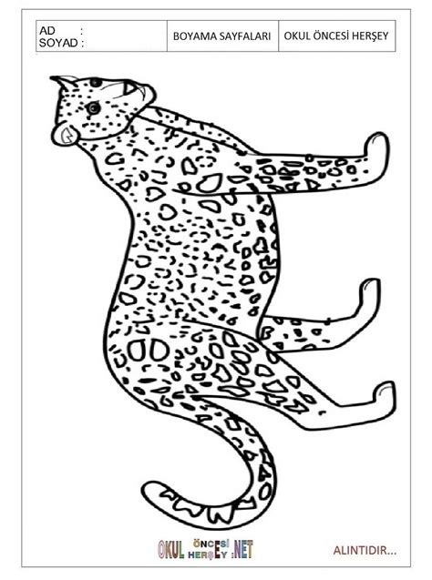 printable jaguar coloring pages  preschool preschool crafts