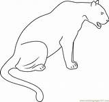 Panther Coloring Seet Panthers Coloringpages101 sketch template