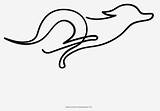 Greyhound Clipartkey 324kb sketch template