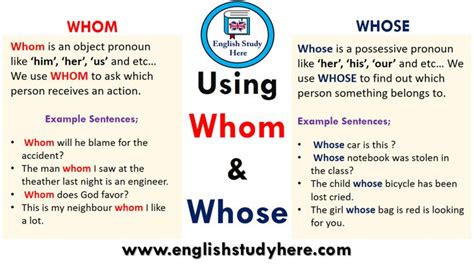 english english study english phrases learn