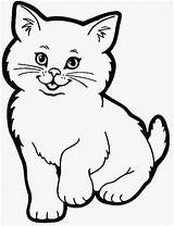 Kucing Mewarnai Imut Menggambar Latihan sketch template