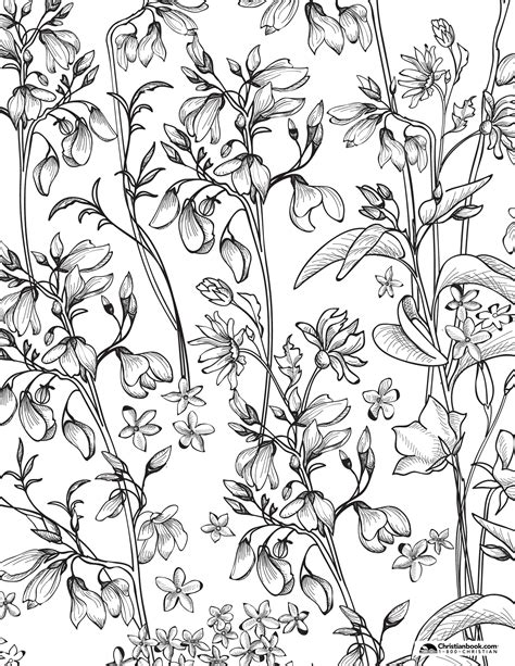 coloring pages  spring  downloads christianbookcom blog