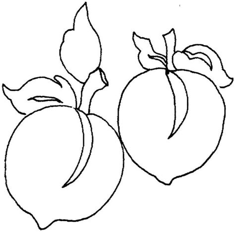 peach coloring pages  coloring pages  kids   coloring