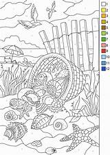 Beach Shells Zahlen Favoreads Erwachsene Colorear Schablonen Numeri Buch Zen Vorschule Colouring Ausmalen sketch template
