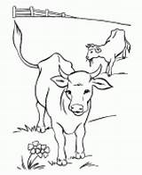 Pasture Cows Farm sketch template
