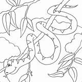 Snake Coloring Pages Animal Colouring Animals Wild Children Year Chinese Printable Snakes Kids Sheets Complex Jungle Color Zoo Print Detail sketch template