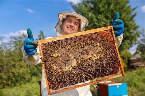 Bees And Beekeepers Meps Set Out Eu Wide Long Term Survival Strategy