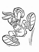 Bunny Bugs Jam sketch template