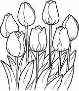Flower Coloring Garden Bouquet Tulips Color sketch template