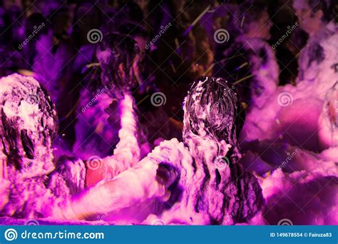 foam party editorial stock image image of dancing lifestyle 149678554