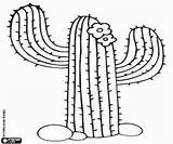 Cactus Saguaro Coloring Drawing Printable Getdrawings Game Drawings sketch template