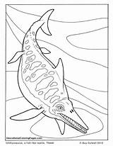 Ichthyosaurus Elasmosaurus Colouringpages Mammals Stampare sketch template