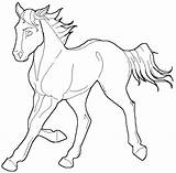 Paarden Kleurplaten Kleurplaat Equine Lineart Coloriages Animaatjes Gifs sketch template