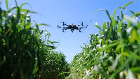 drones  agriculture