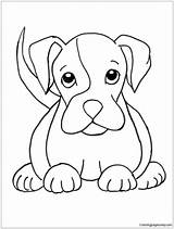 Puppy Pages Boxer Coloring Color sketch template