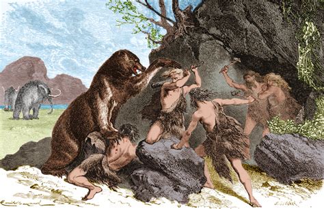 study  ancient humans hunted big mammals  extinction wbur news