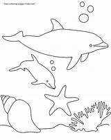 Coloring Pages Dolphin Dolphins Animal Color Swimming Printable Kids Ocean Deep Sea Under Sheets Found sketch template