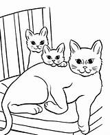 Cat Coloring Pages Printable Kitten Cartoon Little Print Cute Siamese Cats Color Pet Twi Baby Sheet Moms Getdrawings Getcolorings Coloringbay sketch template