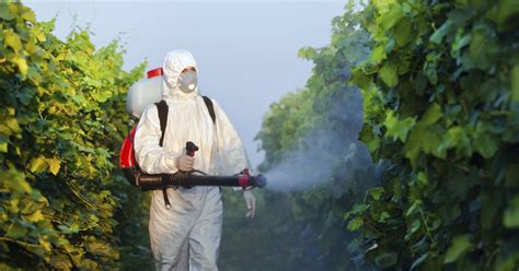 Seven Strategies To Reduce Pesticide Usage