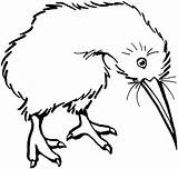 Bird Kiwi Coloring Clipart Drawing Outline Pages Cliparts Clip Kiwis Line Printable Color Zealand Supercoloring Gif Clipartbest Online Edhelper Library sketch template