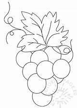 Grapes Bunch Template Printable Coloring Bird sketch template