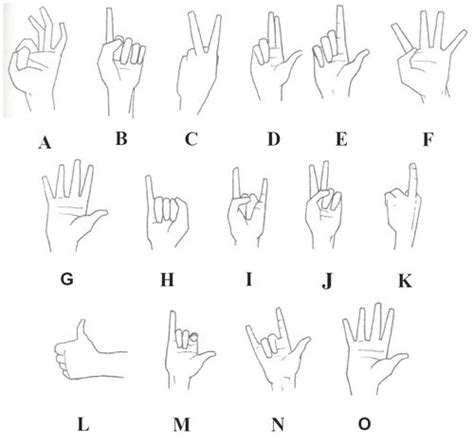 urban wayfarer hand signals   meaning