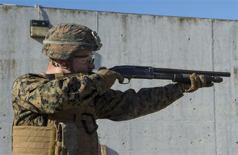 fearsome    handguns   shotguns   military rifles   national interest