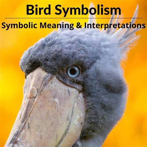 bird symbolism spiritual meaning  ultimate guide