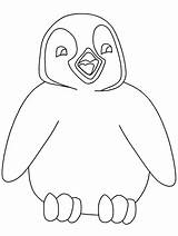 Penguin Coloring Adelie Getcolorings sketch template