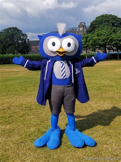 custom mascot costumes picture  puppet
