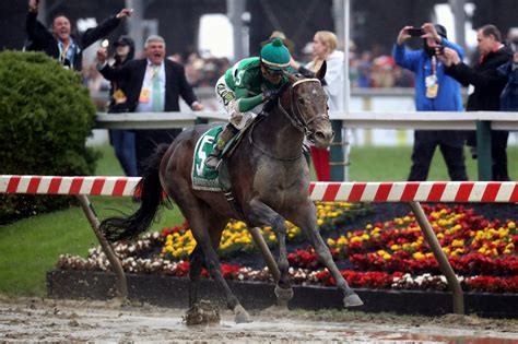 At Preakness Stakes A Clean Victory In Sloppy Conditions The New