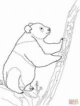 Panda Bear Coloring Pages Cute Getdrawings sketch template