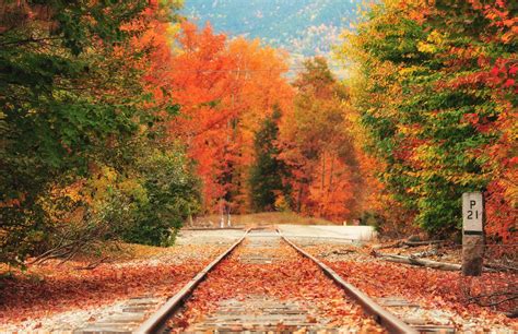 new england fall foliage central 2019 a travel guide