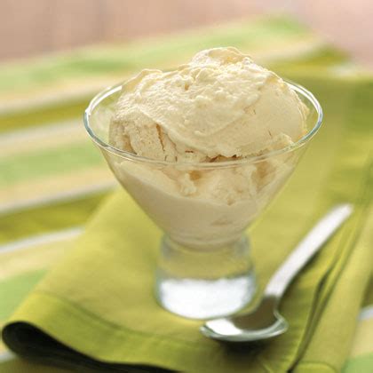 vanilla ice milk recipe myrecipes