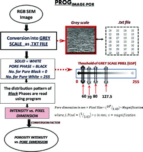 schematic flow chart   developed program prog image por  scientific diagram