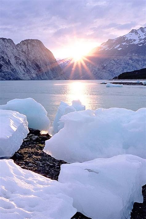 cold sun cold as ice pinterest