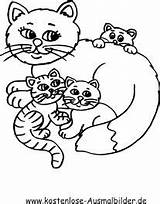 Katzen Malvorlagen Katze Malvorlage Katzenfamilie Tiere Kostenlose Drucken Kätzchen Ausmalbildervorlagen Besuchen Katten Bastelarbeiten sketch template