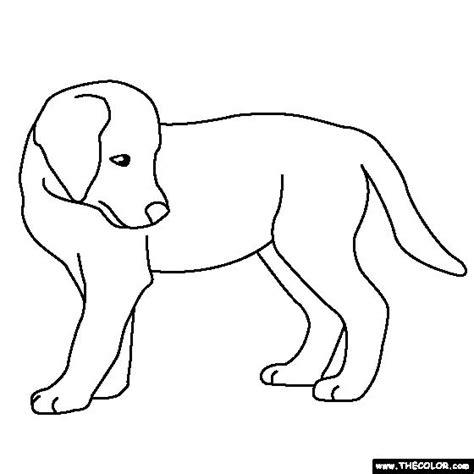 golden retriever puppy coloring page puppy coloring pages retriever