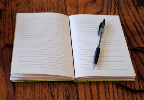 minimeg lined journals  notebooks