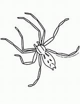 Creepy Spiders Spider Coloringhome Recognition Fun sketch template