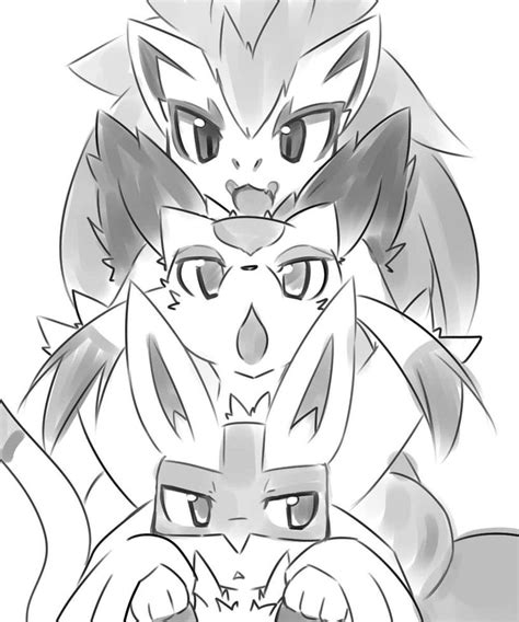 Zoroark Lucario And Mienshao By Anarr10 On Deviantart