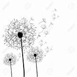 Dandelion Coloring Pages Printable Getcolorings Color Amazing sketch template