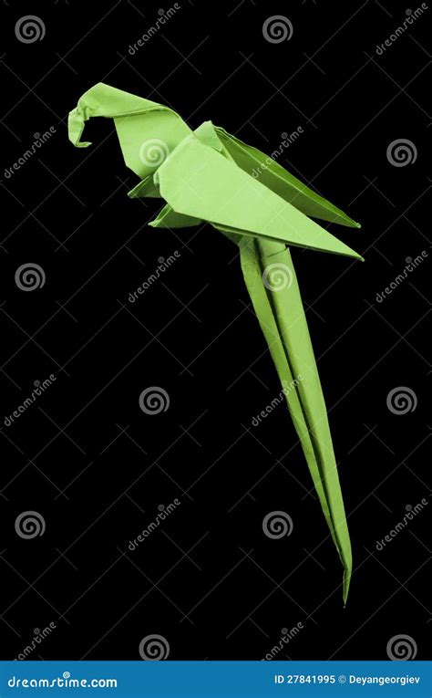 paper  parrot black isolated stock image image  creative artistic