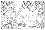 Zahlen Kolibri Unir Ausmalbild Malvorlagen Dinosaurios Kostenlos Ausdrucken Ausmalen Matematicas Kindern Dschungel Colibri Malvorlage Drucken sketch template