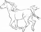 Horse Coloring Pages Mustang Horses Galloping Simple Color Bucking Rearing Drawings Printable Wild Thoroughbred Jockey Pony Herd Shetland Dressage Getcolorings sketch template