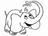 Elephant Coloring Pages Clipart Printable sketch template