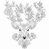 Coloring Deer Pages Adult Cute Printable Color Colouring Ms Adults Books Omalovánky Kids Getcolorings Head Print Info Choose Board Visit sketch template