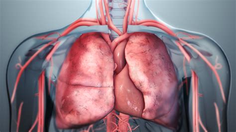 lungs functions  related diseases