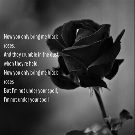 black rose quotes quotesgram