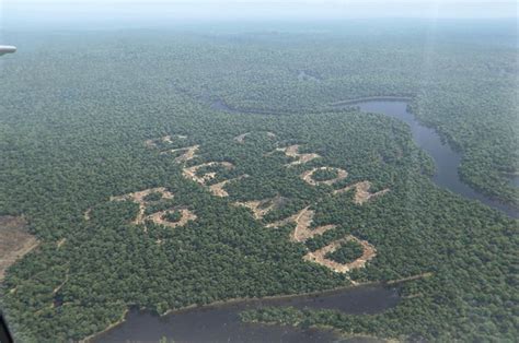 Did Paddy Power Cut Down Part Of The Brazilian Rainforest For A World